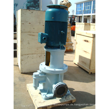 Gute Qualität Marine Oil Gear Pump
